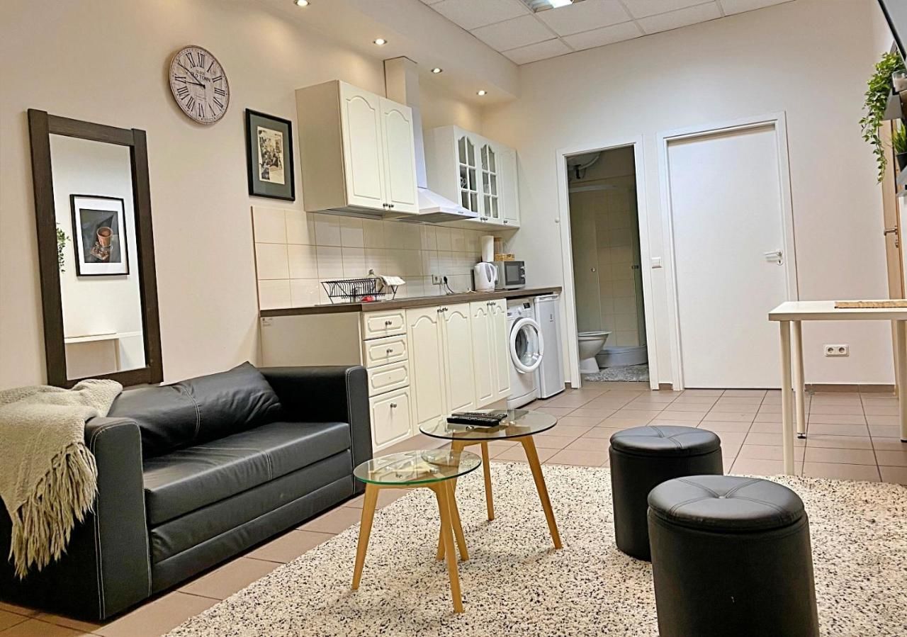 Апартаменты 3 Bedroom Apartment in City Centre Каунас-10