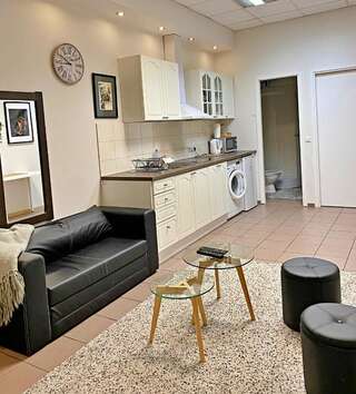 Апартаменты 3 Bedroom Apartment in City Centre Каунас Апартаменты с 3 спальнями-5