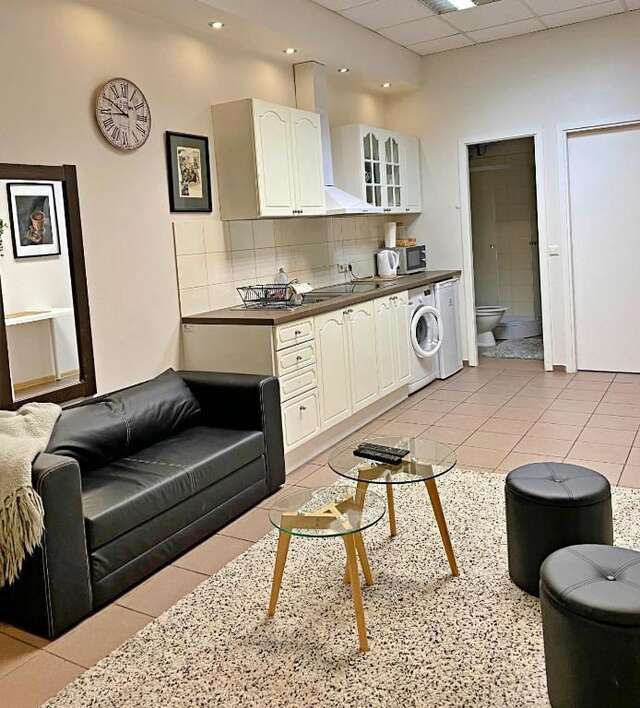 Апартаменты 3 Bedroom Apartment in City Centre Каунас-75